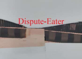 हाथी चौक से लेप्रोसी मिशन चौक तक सड़क पर बने डिवाइडर के ऊपर लोहे के ग्रिल के बनावट में बदलाव लाने हेतु “डिस्प्यूट-ईटर” द्वारा जिलाधिकारी को पत्र।