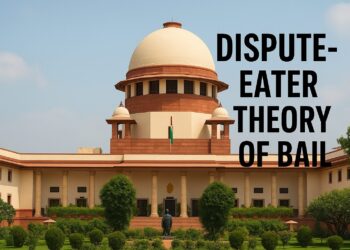 Dispute Eater Theory of Bail.